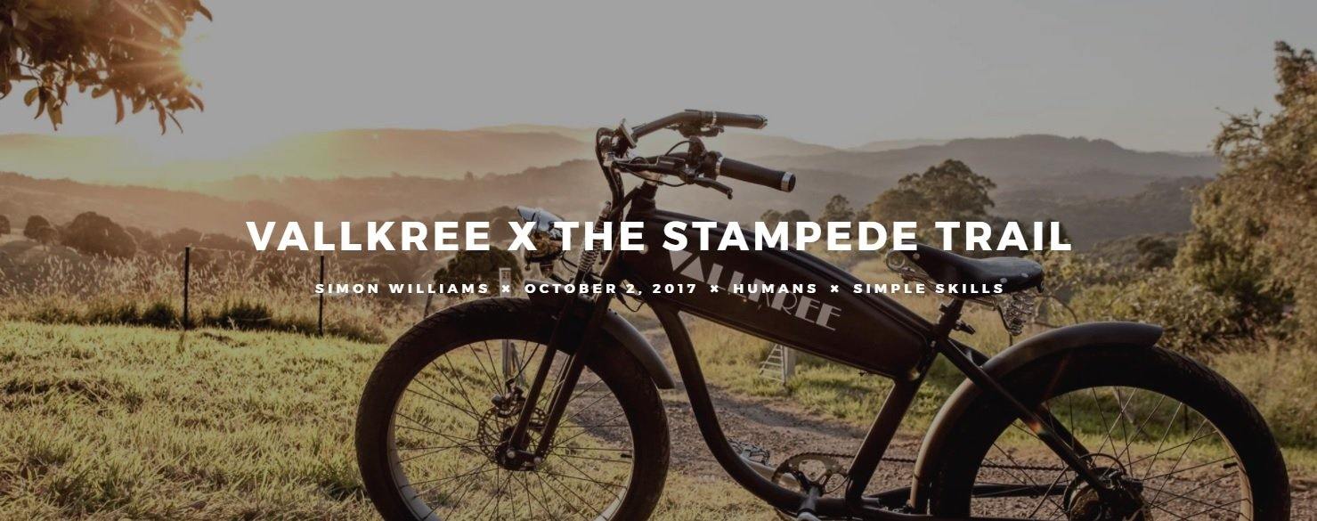 VALLKREE X THE STAMPEDE TRAIL - Vallkree